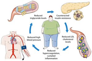 Effects of melatonin