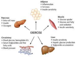 Role of exercise for diabetes