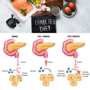 diet role in metabolism