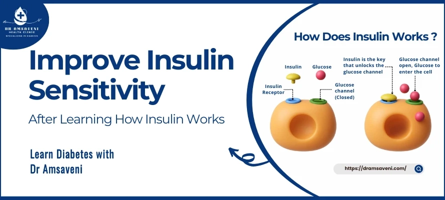 Improve Insulin Sensitivity After Learning How Insulin Works