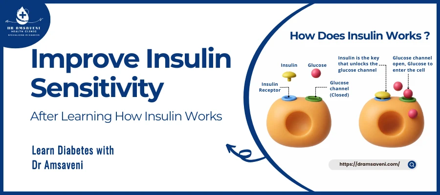 Improve Insulin Sensitivity After Learning How Insulin Works
